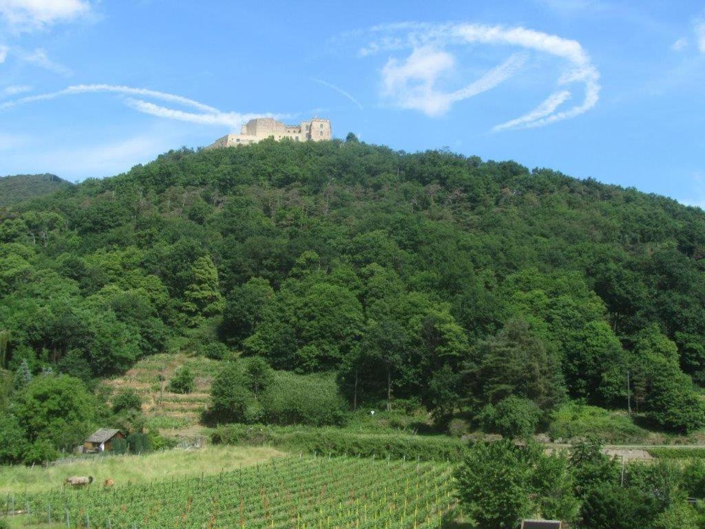 Weinhaus Paradies Neustadt an der Weinstraße Exterior foto